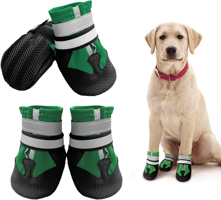 Botas protectoras para perros