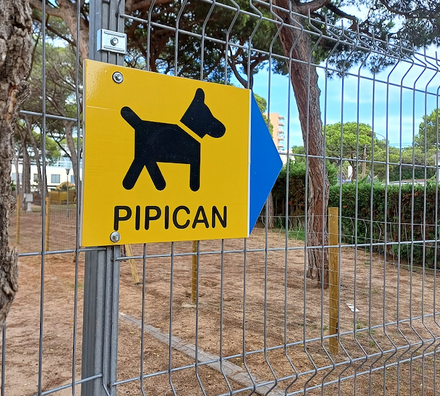 Viven sin un pipican digno en el Raval de Badalona