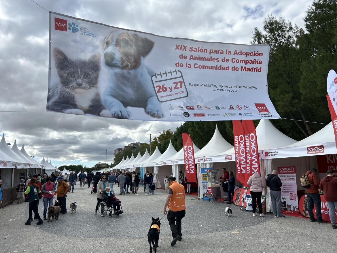 La Comunidad de Madrid Duplica los Nuevos Hogares para Animales de Compañía en su XIX Salón de la Adopción