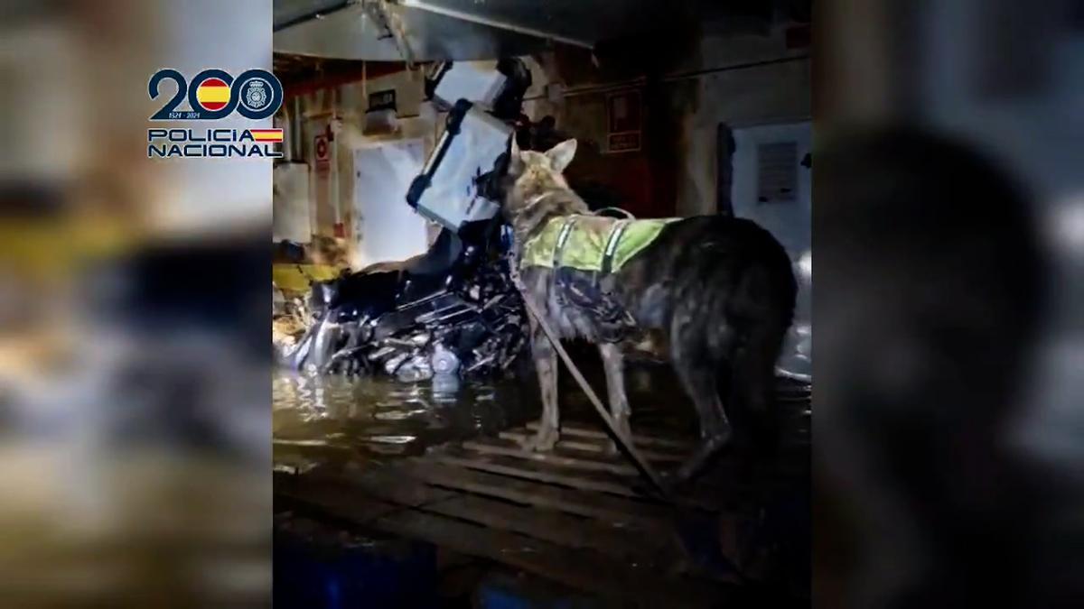 Niyum guía canino de la policía nacional