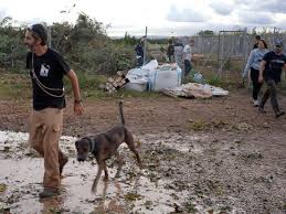 El Gobierno asignará 390.000 euros para la reconstrucción de las protectoras de animales afectadas por la DANA.